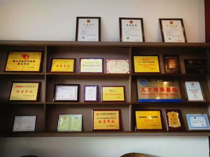 中越股份 企業(yè)一站式服務(wù)專(zhuān)家，引領(lǐng)計(jì)算機(jī)信息化時(shí)代